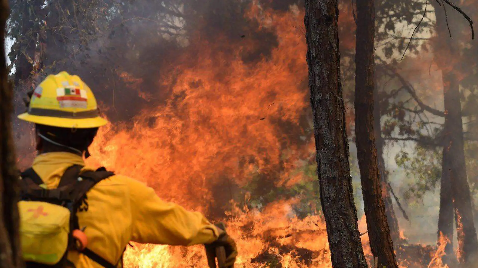 INCENDIOS_CORTESIA COFOM 2